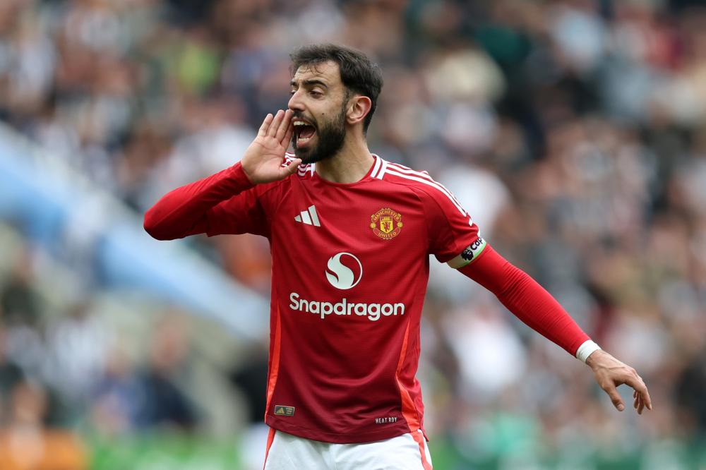 政策逐渐显 政策逐渐显